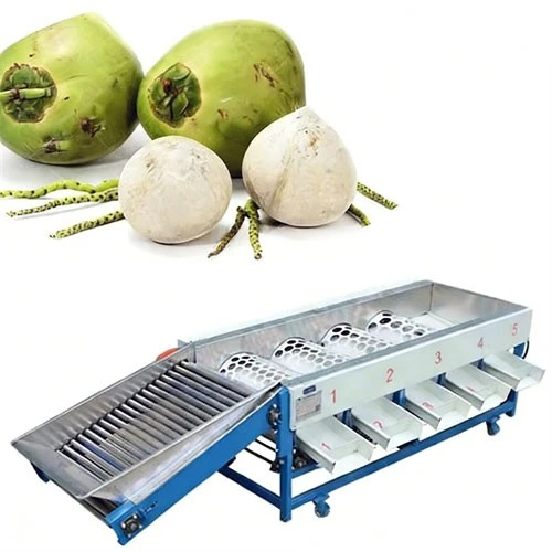 Coconut Grading Machine manufacturers