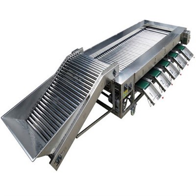 Máy phân loại hạt tiêu